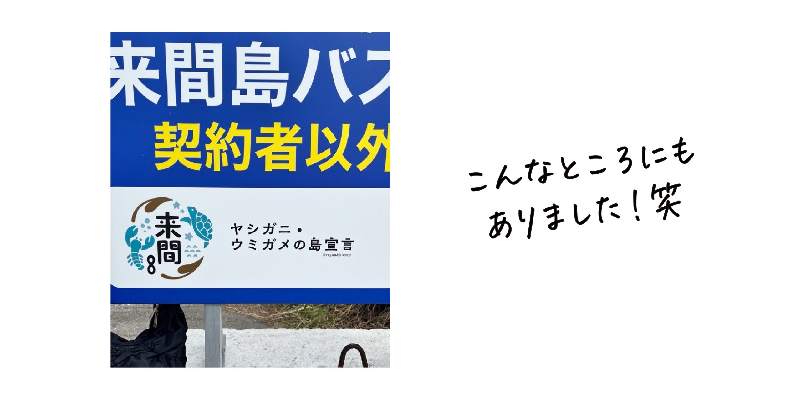次の来間島を創造する委員会